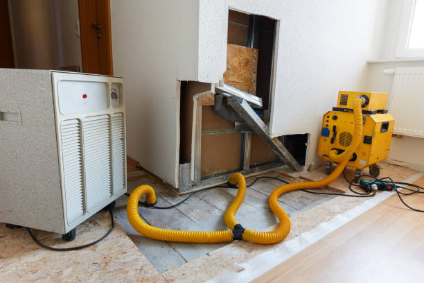 Best HVAC Mold Inspection and Cleaning  in Tok, AK